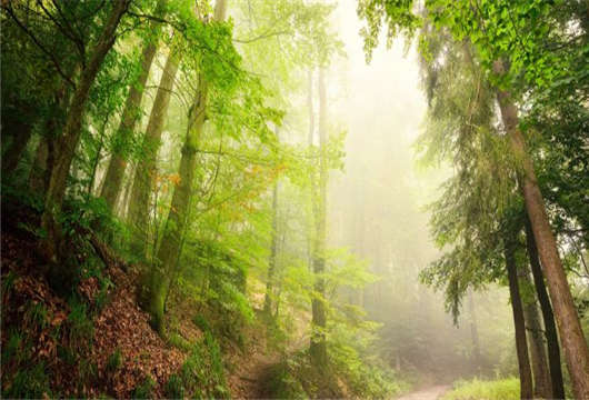 歐洲難民為何會如此青睞德國哪?原因在這(下) 歐洲難民為何會如此青睞德國哪?原因在這(下)