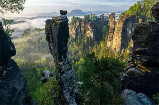 移民方式大集結，其中無買房移民！