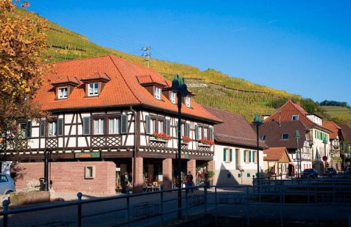 1629709970397871.jpg 1.jpg